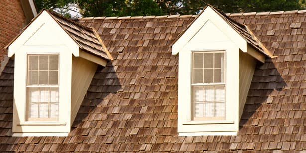 Roof cleaning